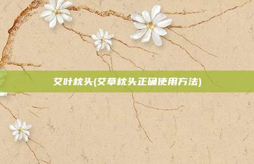 艾叶枕头(艾草枕头正确使用方法)
