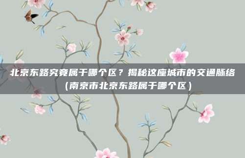 北京东路究竟属于哪个区?揭秘这座城市的交通脉络(南京市北京东路属于哪个区)