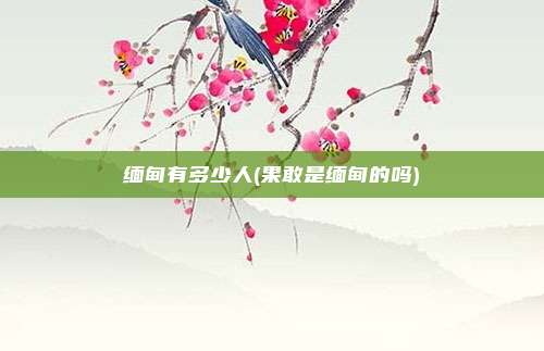 缅甸有多少人(果敢是缅甸的吗)