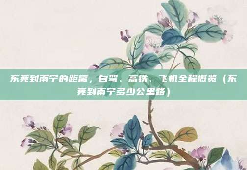 东莞到南宁的距离,自驾、高铁、飞机全程概览(东莞到南宁多少公里路)