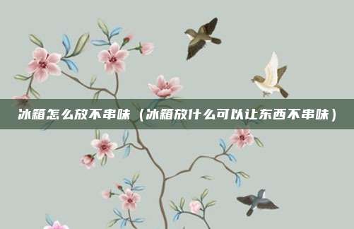 冰箱怎么放不串味（冰箱放什么可以让东西不串味）