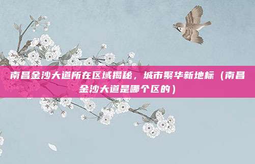 南昌金沙大道所在区域揭秘,城市繁华新地标(南昌金沙大道是哪个区的)