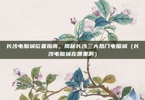 长沙电脑城位置指南,揭秘长沙三大热门电脑城(长沙电脑城在哪里啊)