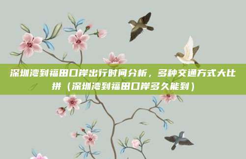 深圳湾到福田口岸出行时间分析,多种交通方式大比拼(深圳湾到福田口岸多久能到)