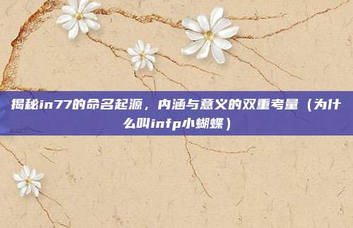 揭秘in77的命名起源,内涵与意义的双重考量(为什么叫infp小蝴蝶)
