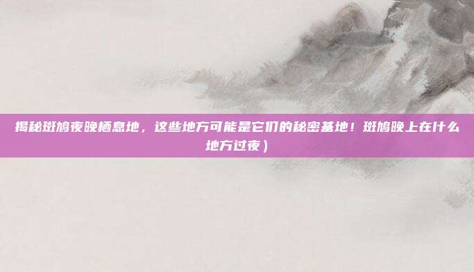 揭秘斑鸠夜晚栖息地,这些地方可能是它们的秘密基地!斑鸠晚上在什么地方过夜)