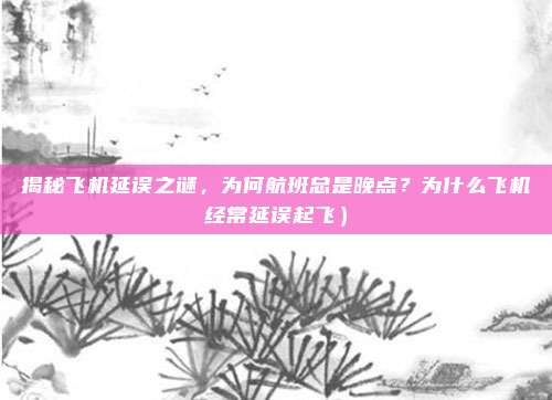 揭秘飞机延误之谜,为何航班总是晚点?为什么飞机经常延误起飞)