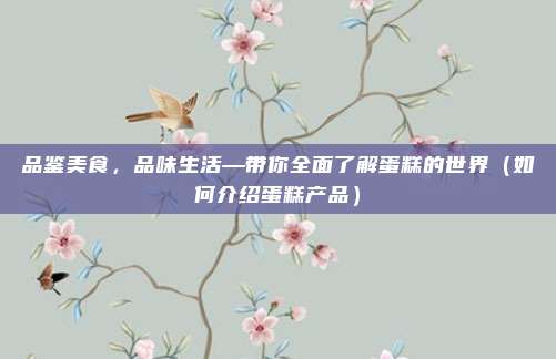 品鉴美食,品味生活—带你全面了解蛋糕的世界(如何介绍蛋糕产品)