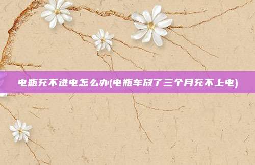 电瓶充不进电怎么办(电瓶车放了三个月充不上电)