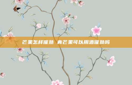 芒果怎样催熟 青芒果可以用酒催熟吗