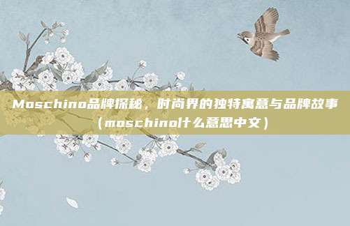 Moschino品牌探秘,时尚界的独特寓意与品牌故事(moschino什么意思中文)