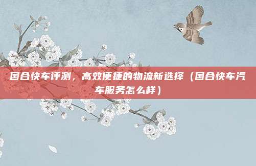 国合快车评测,高效便捷的物流新选择(国合快车汽车服务怎么样)
