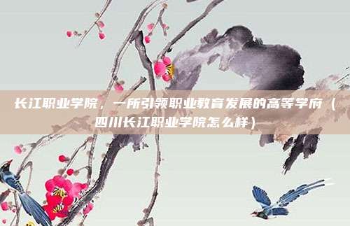 长江职业学院,一所引领职业教育发展的高等学府(四川长江职业学院怎么样)