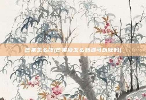芒果怎么吃(芒果没怎么熟透可以吃吗)