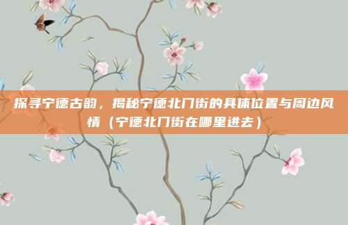 探寻宁德古韵,揭秘宁德北门街的具体位置与周边风情(宁德北门街在哪里进去)