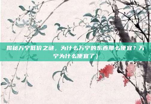 揭秘万宁低价之谜,为什么万宁的东西那么便宜?万宁为什么便宜了)