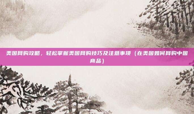 美国网购攻略,轻松掌握美国网购技巧及注意事项(在美国如何网购中国商品)