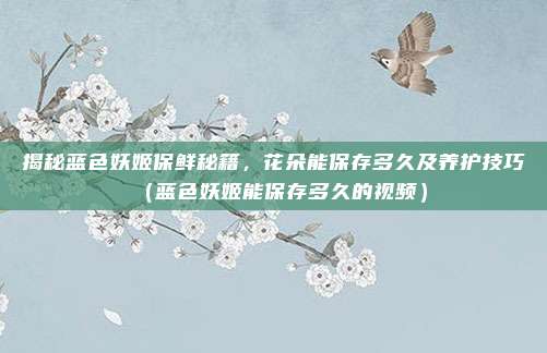 揭秘蓝色妖姬保鲜秘籍,花朵能保存多久及养护技巧(蓝色妖姬能保存多久的视频)