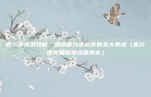 嘉兴市旅游攻略,盘点嘉兴市必游的五大景点(嘉兴市有哪些景点值得去)