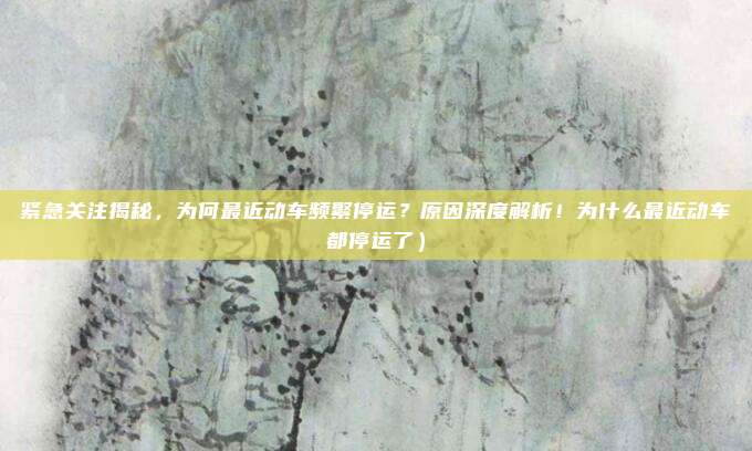 紧急关注揭秘,为何最近动车频繁停运?原因深度解析!为什么最近动车都停运了)