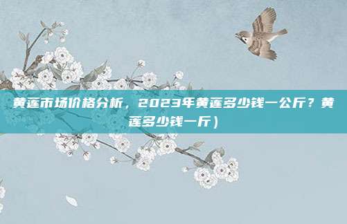 黄莲市场价格分析,2023年黄莲多少钱一公斤?黄莲多少钱一斤)