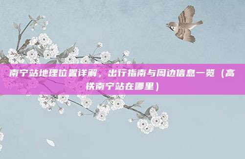 南宁站地理位置详解,出行指南与周边信息一览(高铁南宁站在哪里)