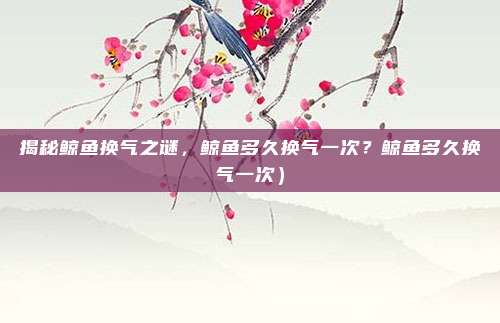 揭秘鲸鱼换气之谜,鲸鱼多久换气一次?鲸鱼多久换气一次)