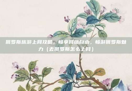 俄罗斯旅游上网攻略,畅享网络自由,畅游俄罗斯魅力(去俄罗斯怎么上网)