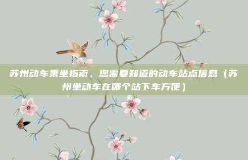 苏州动车乘坐指南,您需要知道的动车站点信息(苏州坐动车在哪个站下车方便)