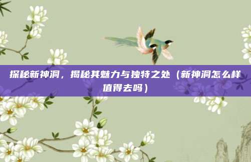探秘新神洞,揭秘其魅力与独特之处(新神洞怎么样值得去吗)