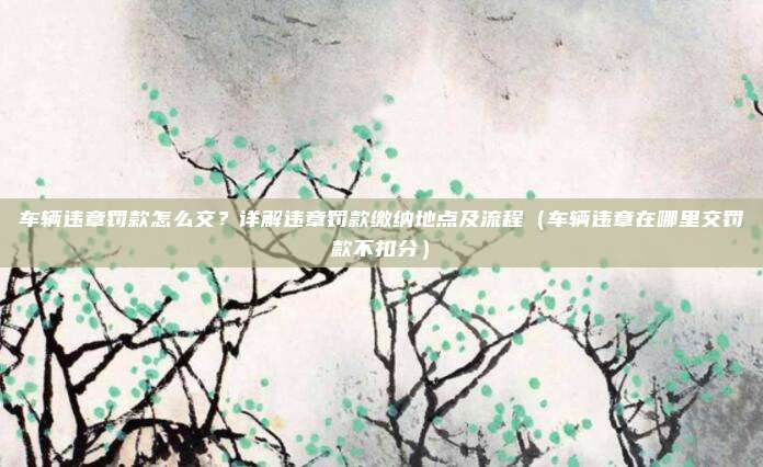 车辆违章罚款怎么交?详解违章罚款缴纳地点及流程(车辆违章在哪里交罚款不扣分)