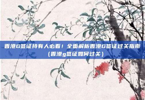 香港G签证持有人必看!全面解析香港G签证过关指南(香港g签证如何过关)