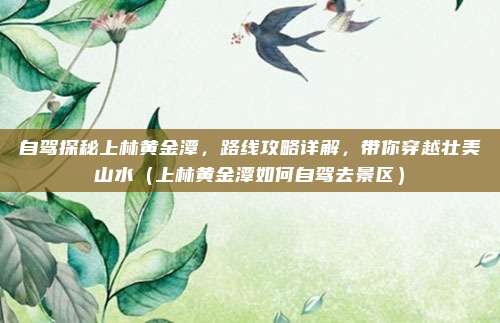 自驾探秘上林黄金潭,路线攻略详解,带你穿越壮美山水(上林黄金潭如何自驾去景区)