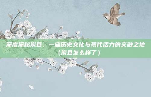 深度探秘浚县,一座历史文化与现代活力的交融之地(浚县怎么样了)