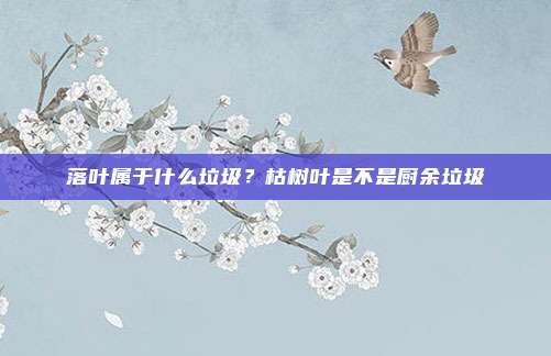 落叶属于什么垃圾?枯树叶是不是厨余垃圾