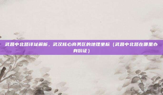 武昌中北路详址解析,武汉核心商务区的地理坐标(武昌中北路在哪里办身份证)