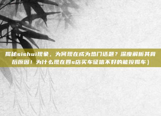 揭秘sishui现象,为何现在成为热门话题?深度解析其背后原因!为什么现在四s店买车征信不好的能按揭车)