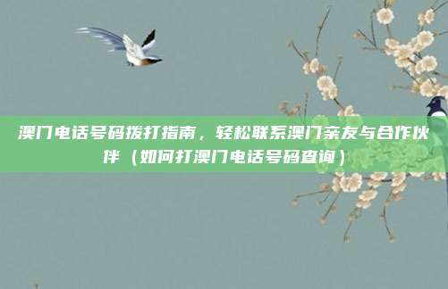 澳门电话号码拨打指南,轻松联系澳门亲友与合作伙伴(如何打澳门电话号码查询)