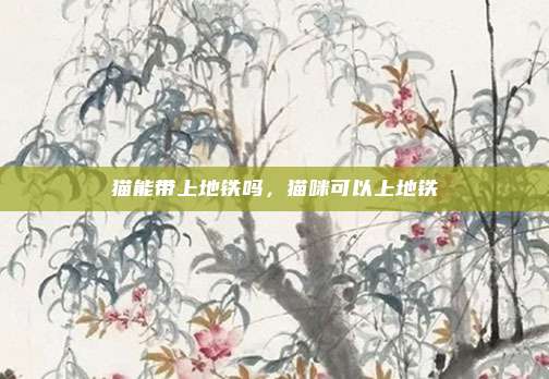 猫能带上地铁吗,猫咪可以上地铁