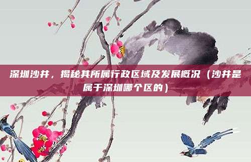 深圳沙井,揭秘其所属行政区域及发展概况(沙井是属于深圳哪个区的)
