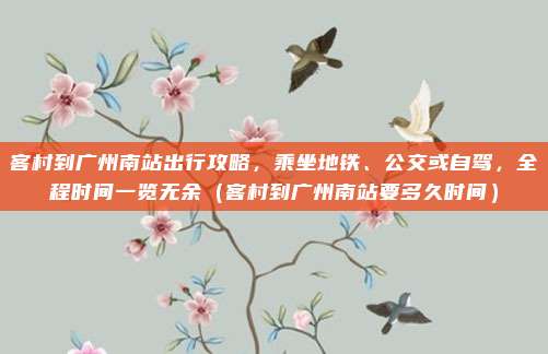 客村到广州南站出行攻略,乘坐地铁、公交或自驾,全程时间一览无余(客村到广州南站要多久时间)
