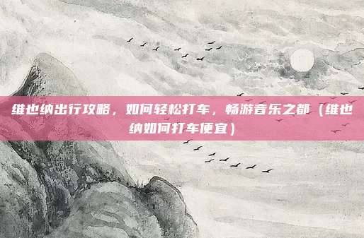 维也纳出行攻略,如何轻松打车,畅游音乐之都(维也纳如何打车便宜)