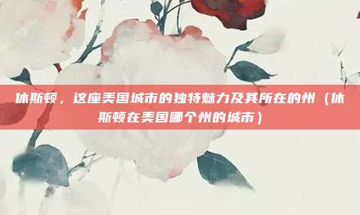 休斯顿,这座美国城市的独特魅力及其所在的州(休斯顿在美国哪个州的城市)