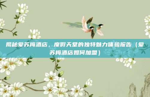 揭秘爱苏梅酒店,度假天堂的独特魅力体验报告(爱苏梅酒店如何加盟)