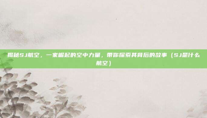 揭秘SJ航空,一家崛起的空中力量,带你探索其背后的故事(SJ是什么航空)