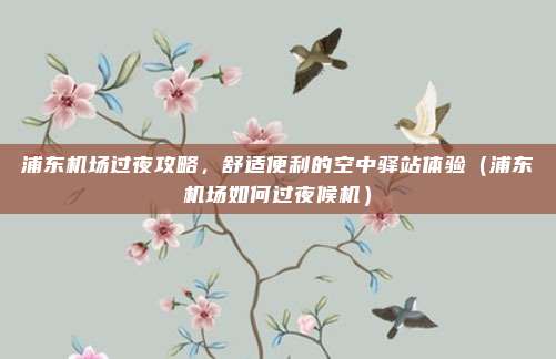浦东机场过夜攻略,舒适便利的空中驿站体验(浦东机场如何过夜候机)