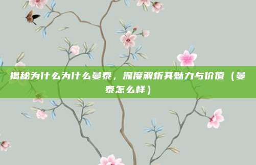 揭秘为什么为什么曼泰,深度解析其魅力与价值(曼泰怎么样)