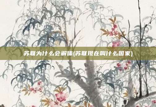 苏联为什么会解体(苏联现在叫什么国家)