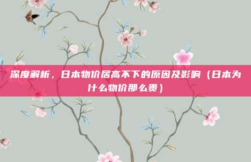深度解析,日本物价居高不下的原因及影响(日本为什么物价那么贵)