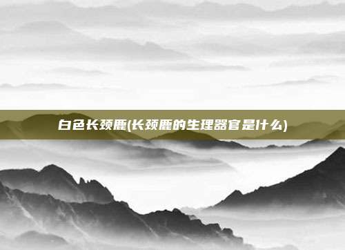 白色长颈鹿(长颈鹿的生理器官是什么)